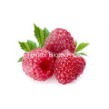 Raspberry Juice Powder /Raspberry Powder/Raspberry Extract Powder